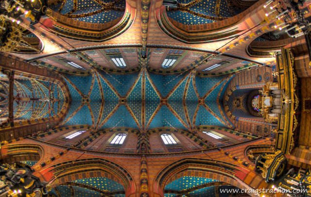 cds-cds-IMG_8824_proc